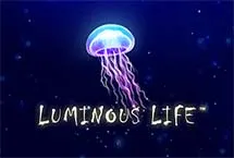 Luminous Life